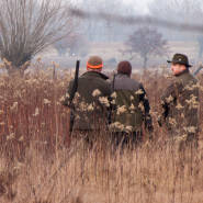 Polowanie Zbiorowe 18 stycznia 2014