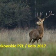 Składki członkowskie PZŁ / do koła – 2017