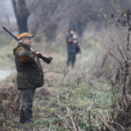 Polowanie zbiorowe połączone ze szkoleniem dotyczącym zasad bezpieczeństwa na polowaniach