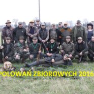 Plan polowań zbiorowych w sezonie 2016/2017