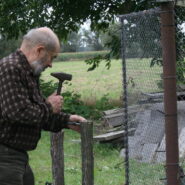 Polowanie na kaczki i prace gospodarcze 23.08.2014