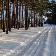 Polowanie zbiorowe 18 lutego 2017